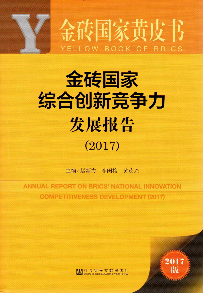 免费又黄又大又爽又猛又嫩金砖国家综合创新竞争力发展报告（2017）